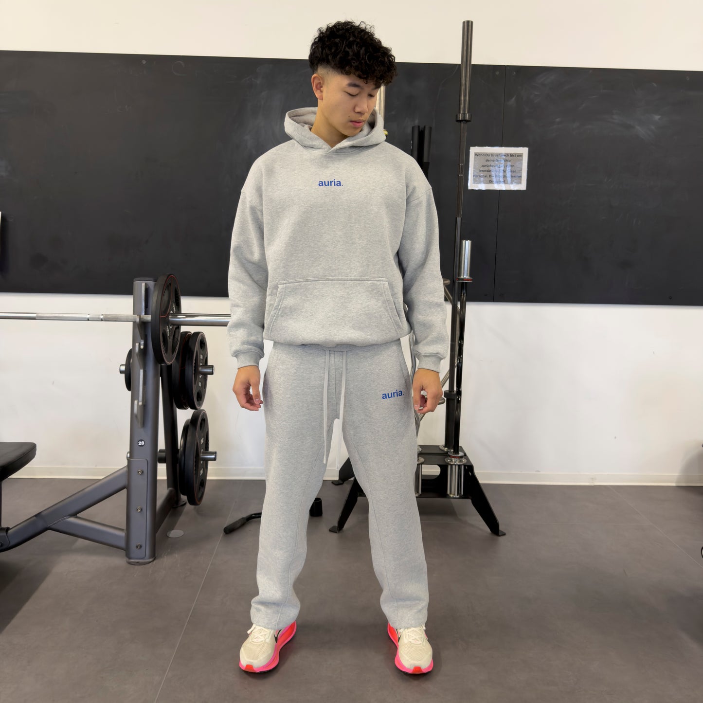auria. Sweatpants — Light Grey